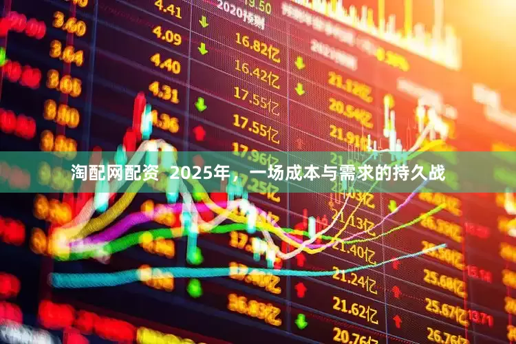 淘配网配资  2025年，一场成本与需求的持久战