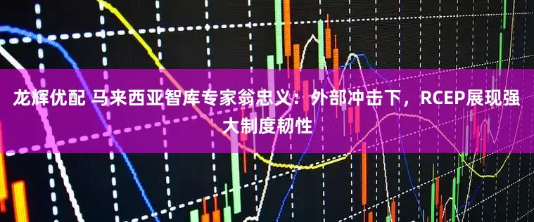 龙辉优配 马来西亚智库专家翁忠义：外部冲击下，RCEP展现强大制度韧性